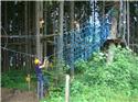Veranstaltungsbild Kletterwald Osnabrück