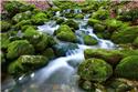 Veranstaltungsbild Wasser ist Leben - Was lebt denn bei uns im Quellgebiet des Noller Baches?
