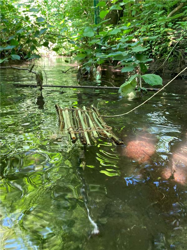 bild_4