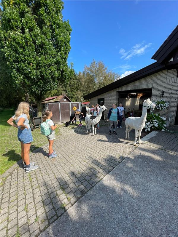 bild_4