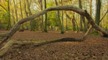 Veranstaltungsbild Natur-Erlebnis-Tag auf dem JuNEP-Gelände