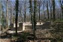 Veranstaltungsbild Wanderung zu der Holter Burgruine