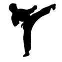 Veranstaltungsbild Karate für Kinder